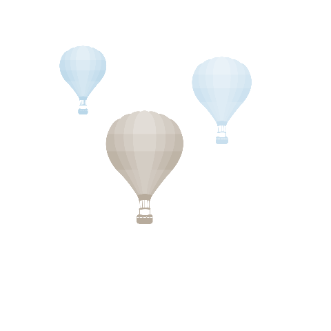 Mooi geboortekaartje met luchtballon